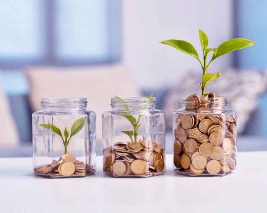3 jars of money and plants symbolizing growth